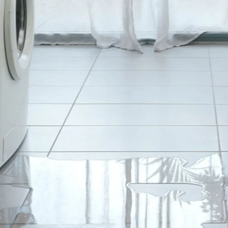 Appliance Leak Cleanup in Franklin County, TX
