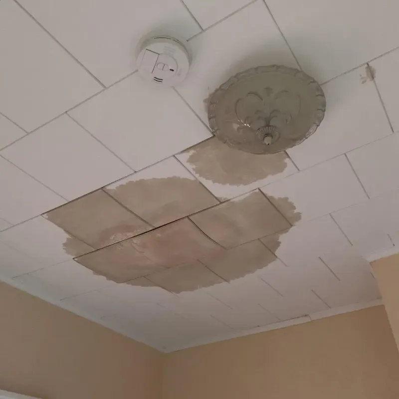 Ceiling Water Damage Repair in Franklin County, TX