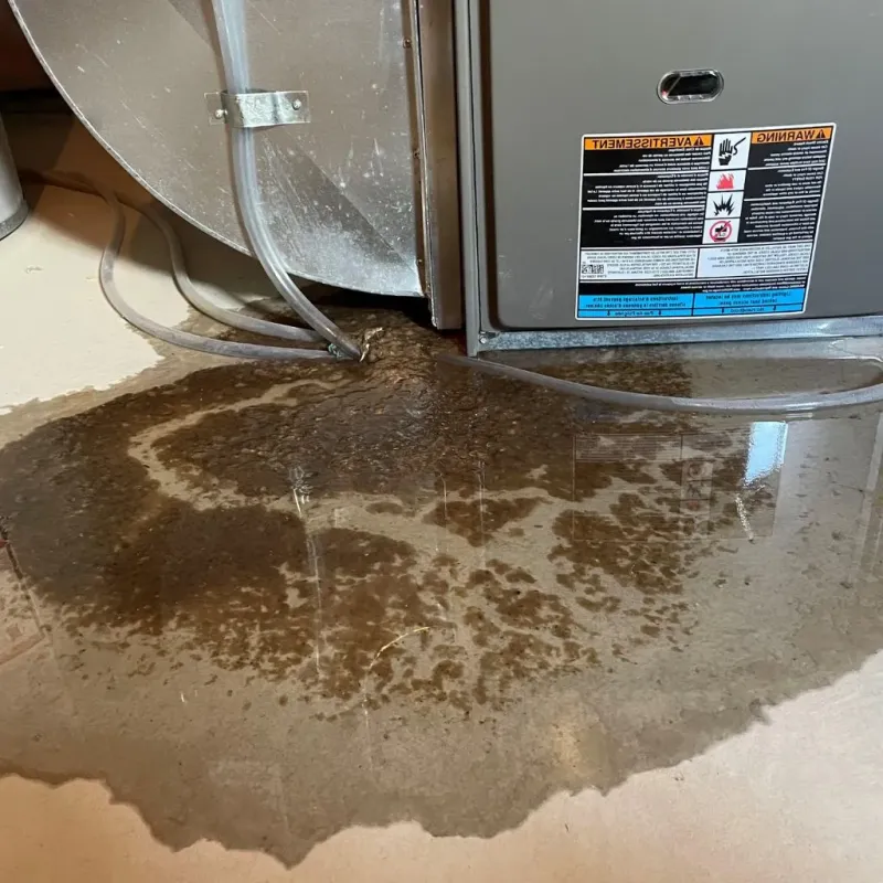Pipe Burst and Leak Restoration in Franklin County, TX