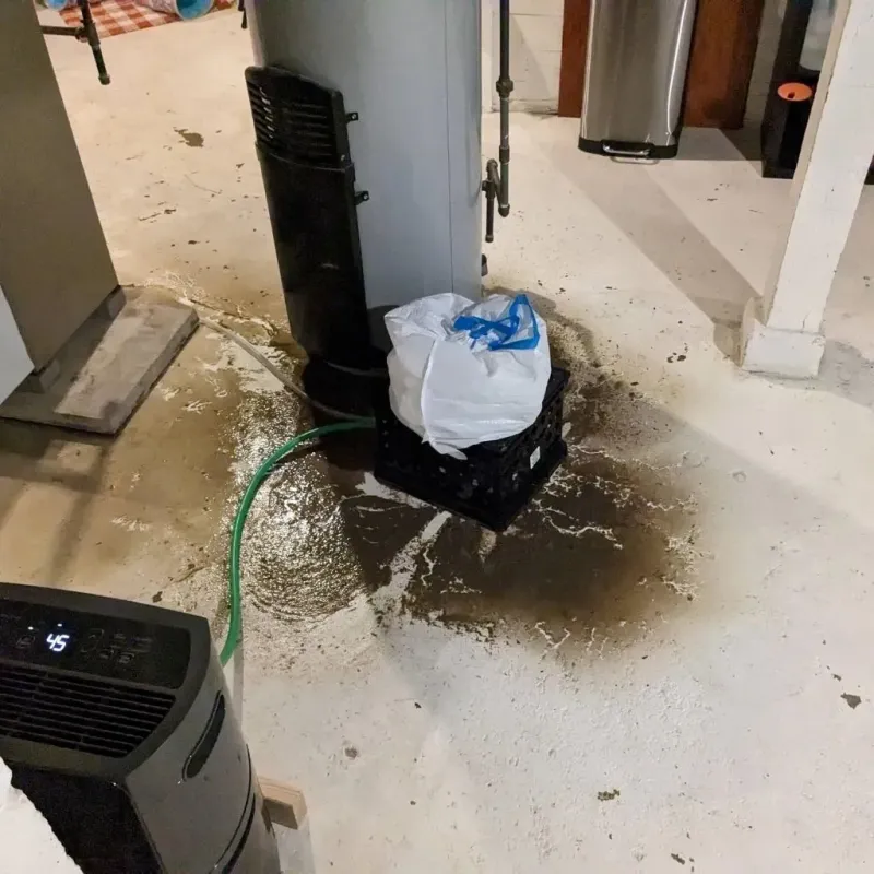 Sewage Backup Cleanup Service in Franklin County, TX